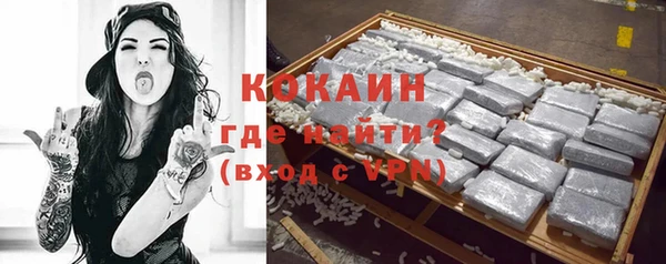 гидра Щигры