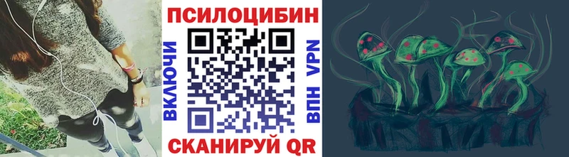 Купить где  Судак  Галлюциногенные грибы MAGIC MUSHROOMS 